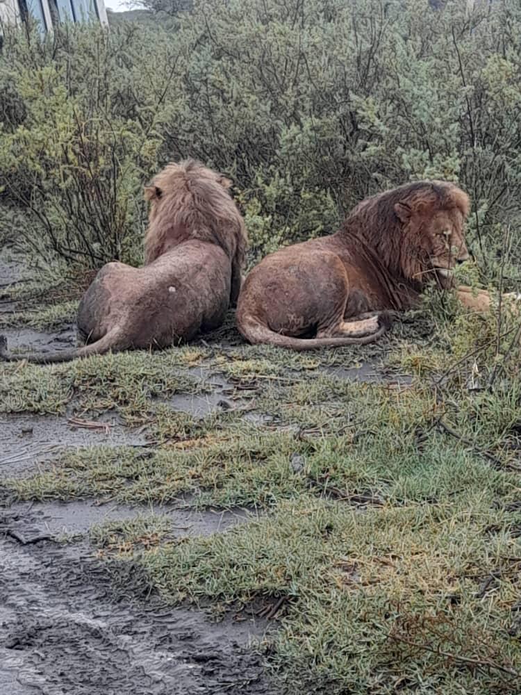 Hell’s Gate National Park