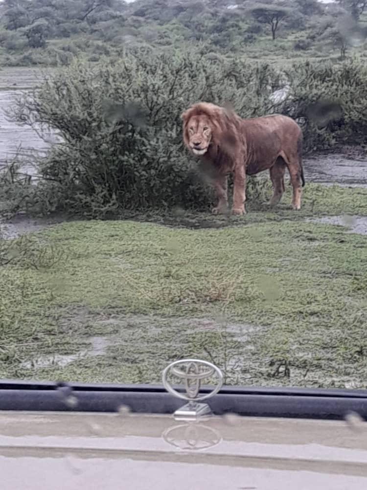Amboseli National Park