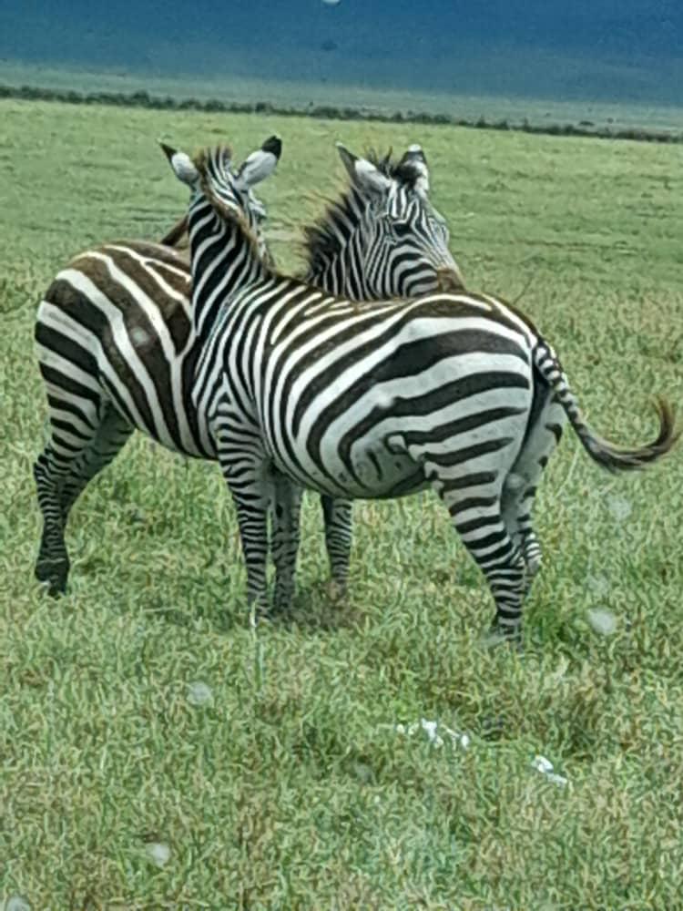 Maasai Mara National Reserve