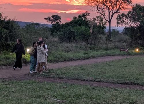 7 Days Honeymoon Adventure