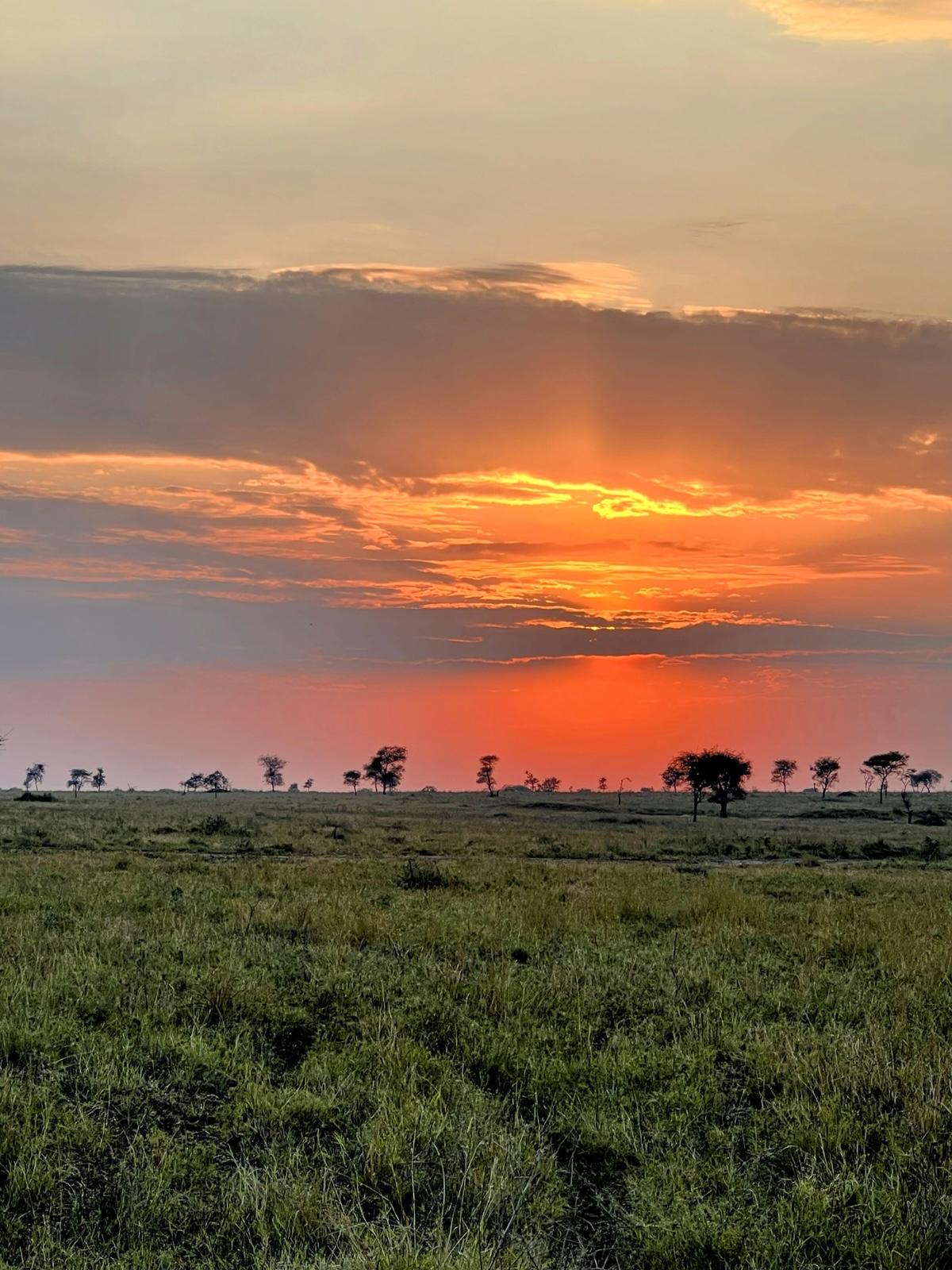 Shimba Hills National Reserve