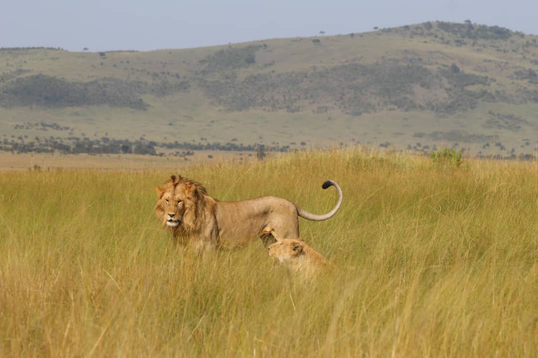 Lake Nakuru National Park