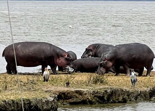 Zanzibar’s Hidden Beach Paradises: Beyond the Crowds