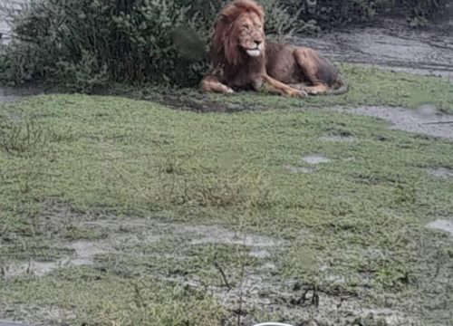 True African Adventure Travel: Undiscovered Tanzania